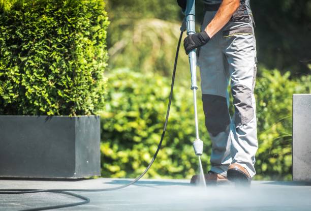 Best Dumpster Area Cleaning  in Melrose, MN